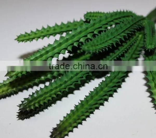 Artificial Succulent Plants Making