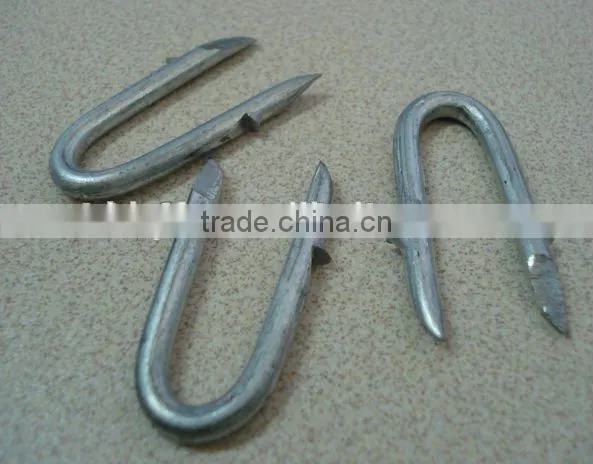 U Type Steel Nails China Supplier photo-5