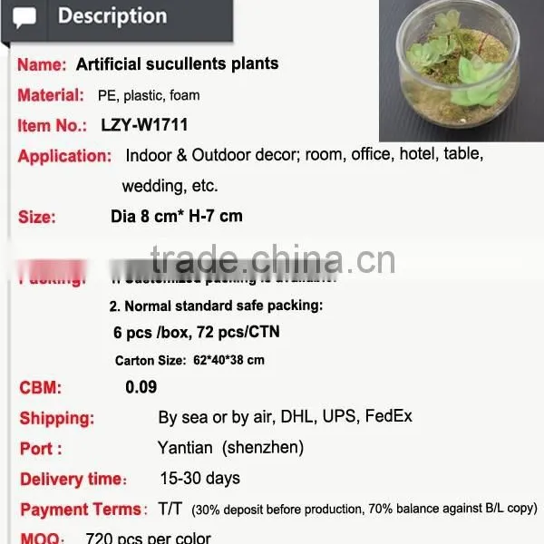 Glass Potted Artificial Mini Cute Succulents Plants photo-3