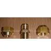 Brass Nuts
