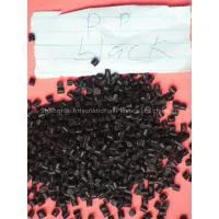 PP Black