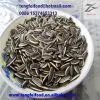 22/64 Sunflower Seeds 5009 With Low Price