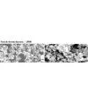 Sell Barium Titanate