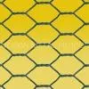 Hexagonal Wire Mesh