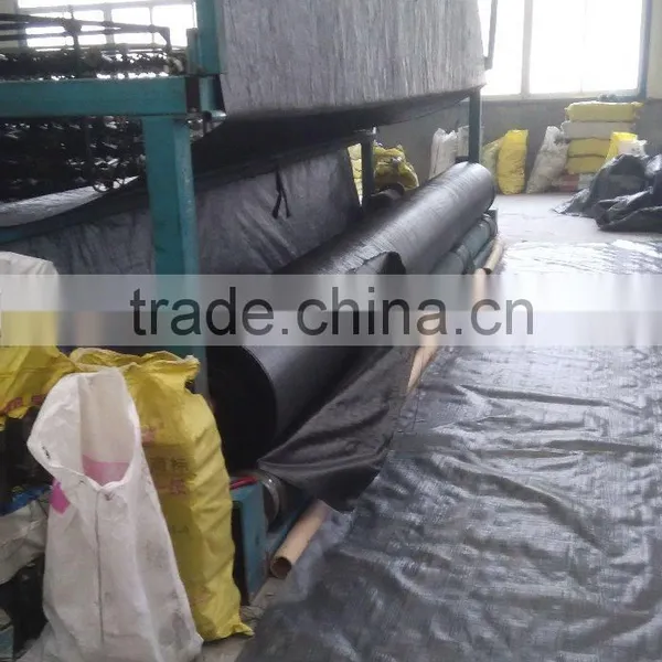 PP Woven Geotextile for Road Construction photo-4