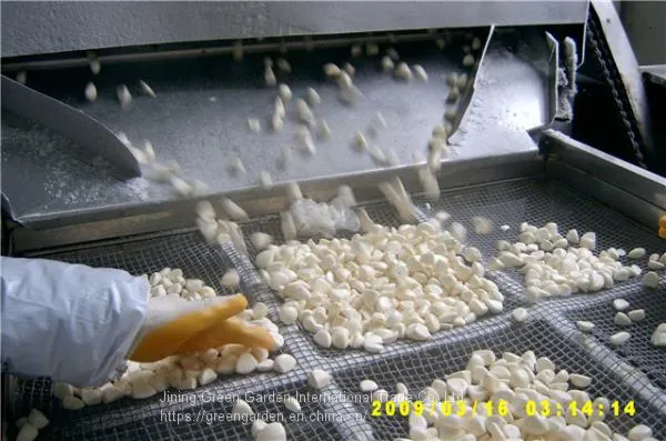 Frozen Peeled Garlic Cloves photo-2