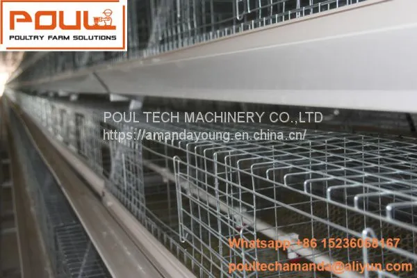 Cameroon Poultry Farm A Frame Automatic Small Chicks Cage & Pullet Cage & Day Old Chick Coop With Nipple Drinker & Drop Cup in Chicken Shed photo-2