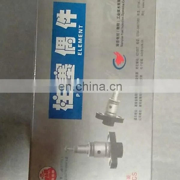 BJAP Plunger Element U153C for Pump 13067688 photo-4