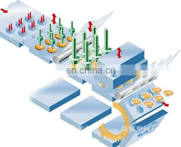 Automatic Cup Filling Machine photo-3