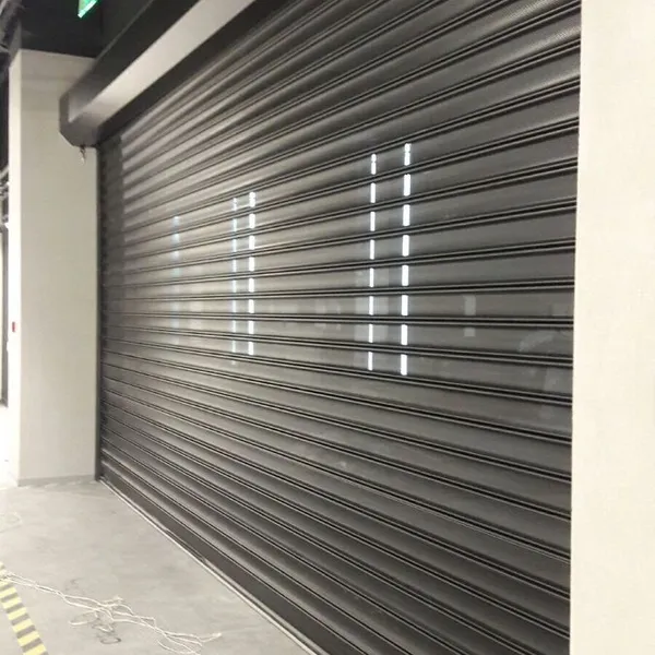 Robust Electric Roller Door photo-3