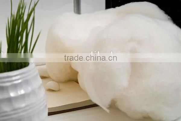 Newly Automatic Cotton Seed Removal Machine photo-5
