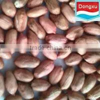 Long Peanut Kernel