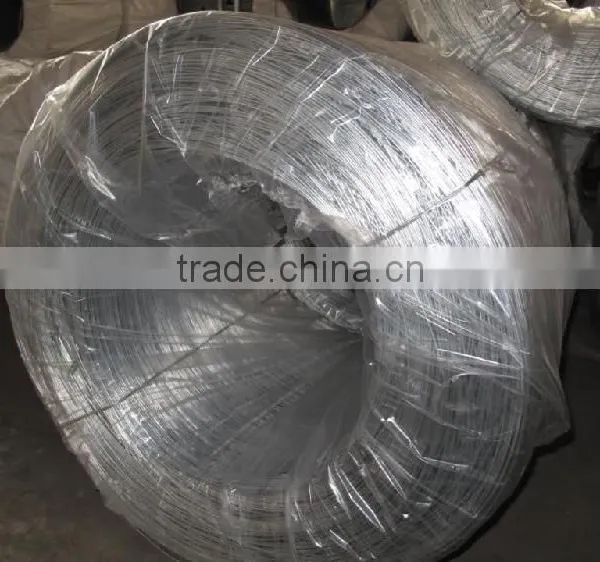 High Quality Galvanized Iron Wire Electro photo-2
