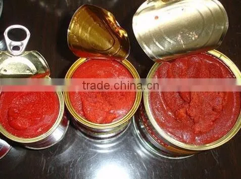 China Hot Sell Canned Tomato Paste 70g*100tins,food Tin Can Making Machine photo-5