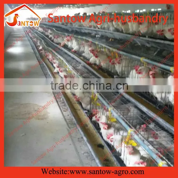 Chicken Use Welded Wire Chicken Layer Cages Mechanized Poultry Farming Equipment photo-5