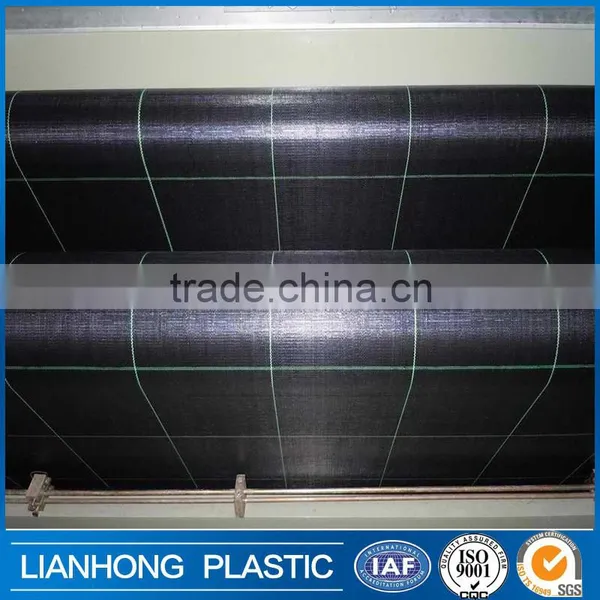 Agricultural pp Weed Mat Shipping From China photo-4