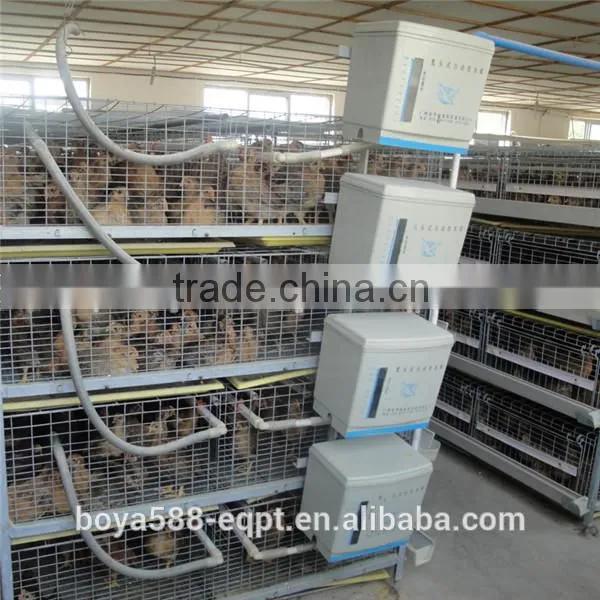 Ladder Type Automatic Pullet Chicken Brooding Cage For Sales For Nigeria Farm photo-2