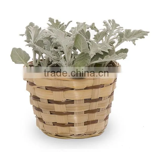 Bamboo Planter Pot With Cutomized Design