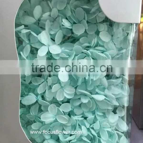 Top Quality Flower Export Preserved Flower Colorful Wholesale Artificial Hydrangea Flowers photo-5