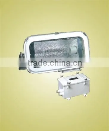 Marine Flood Light