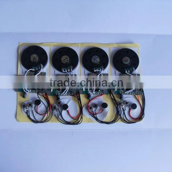 Recordable Voice Module
