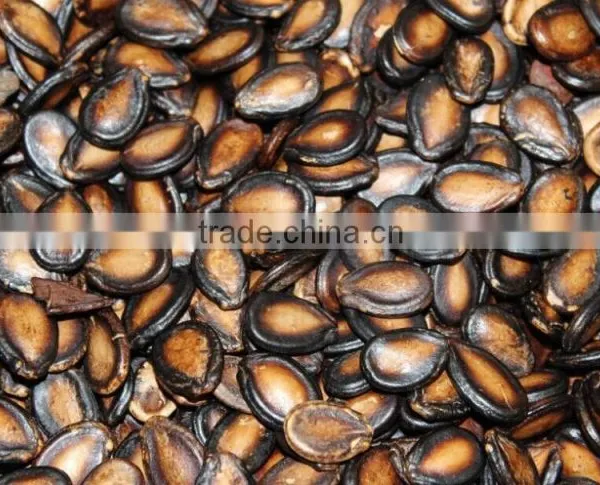 2015new Black Watermelon With Top Quality and Best Price photo-4