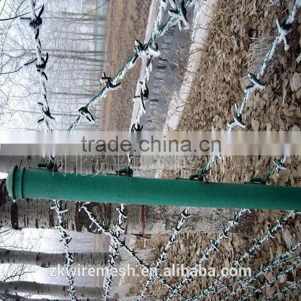 Hot-Dipped Galvanized Barbed Wire photo-6