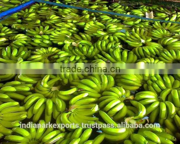 Fresh Cavendish Banana photo-5