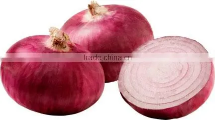 Fresh Red Onion