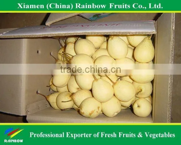 Chinese Fresh Pear/ Sweet Ya Pear