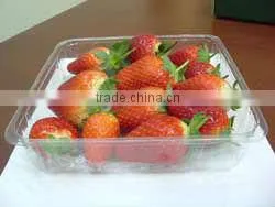 FRESH STREWBERRY photo-5