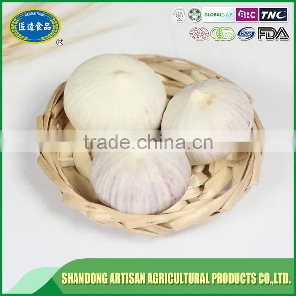 Fresh Single Clove Garlic photo-2