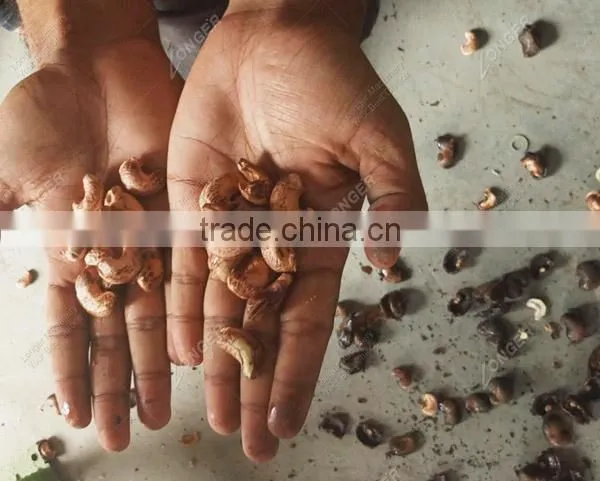 New Professional Designed Cashew Nut Processing Machine Price photo-3