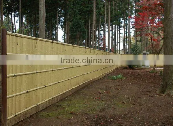 PVC Fence