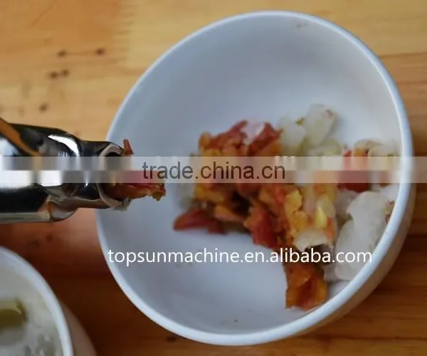 Hot Sales Top Quality Stainless Steel Wheat Grass Juicer, Juicer photo-3