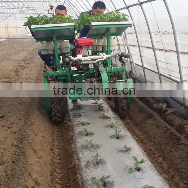 High Quality Seed Planter for Tractor Vegetable photo-5