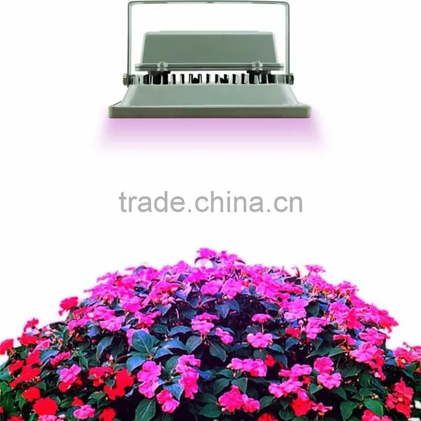30W Full Spectrum COB Grow LED Flood Light for Hydroponic Greenhouse Systems photo-2