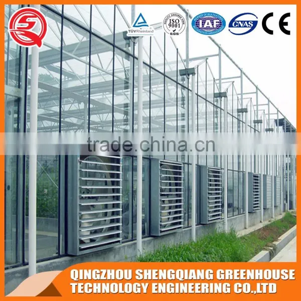 Factory Hollow Tempered Steel Frame Glass Greenhouse Cooling System photo-3