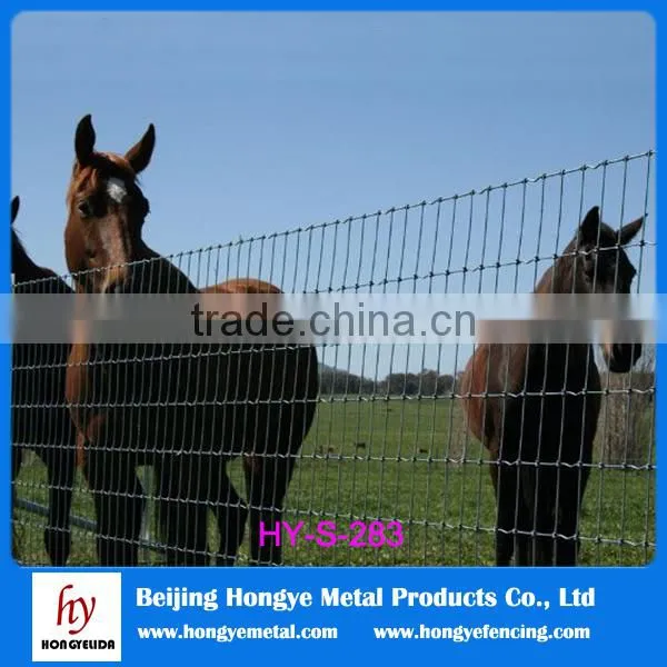 Grassland Wire Fence Panels Hot Sale(Shunxing Company) photo-5