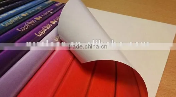Outdoor Solvent Self Adhesive Vinyl photo-5
