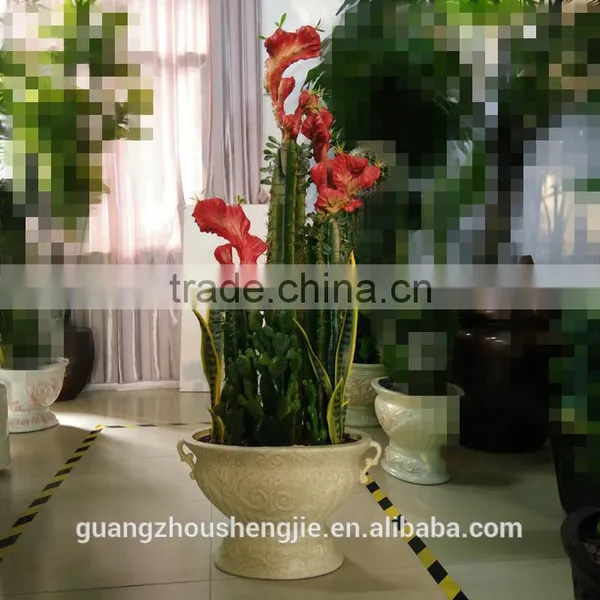 Decorative Jamaica Cactus Plant Bonsai Artificial Cactus photo-5