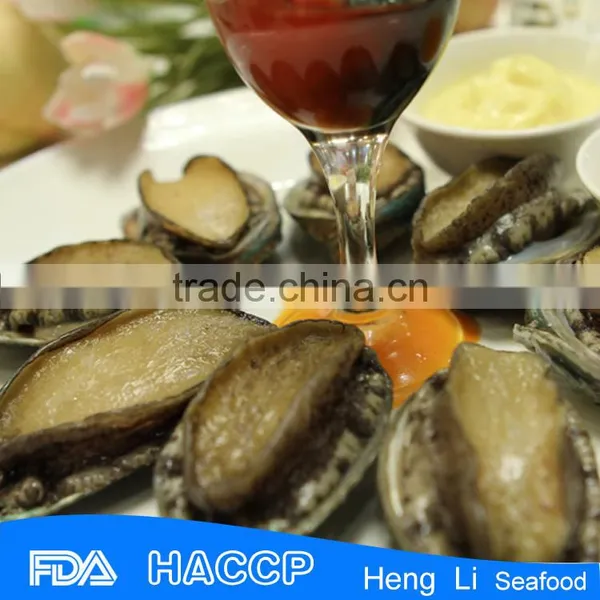 Frozen Taiwan Abalone With Shell photo-3