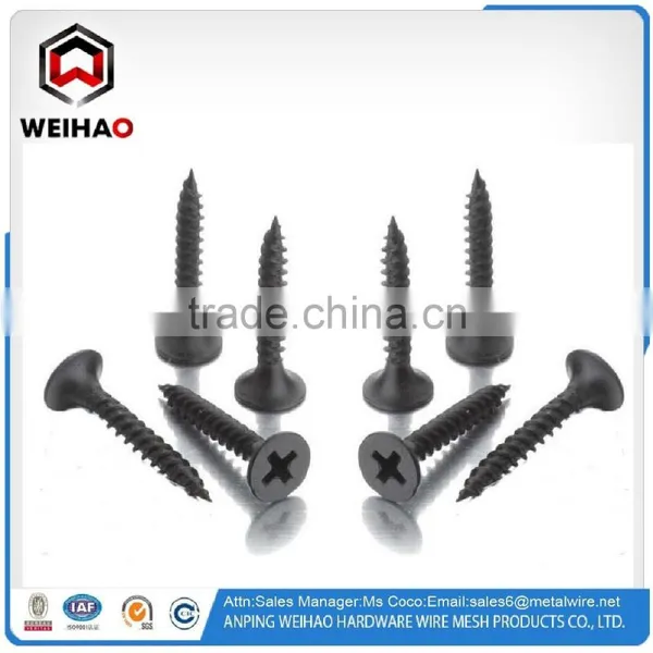 Screw Manufacturer Black Drywall Screw photo-2