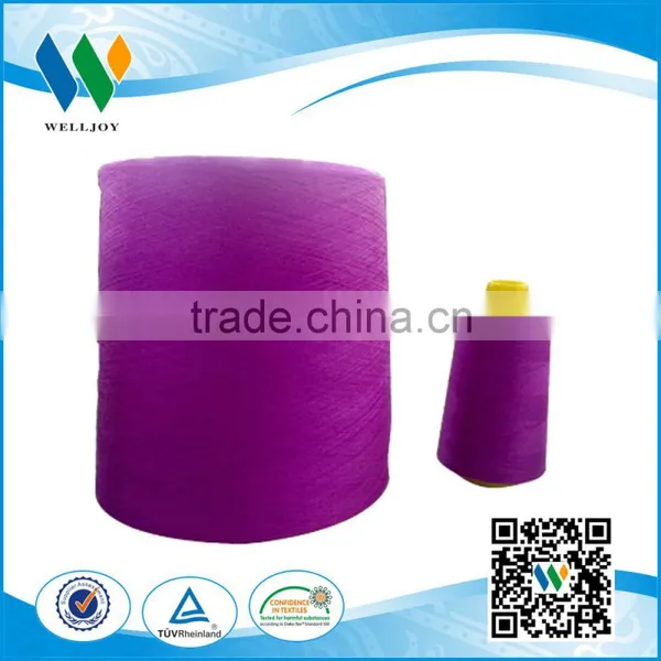 WellJoy Mutiple Color Plastic Cone Beatiful Look Rayon Embroidery Thread photo-2
