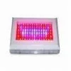 LED Grow Lighting
