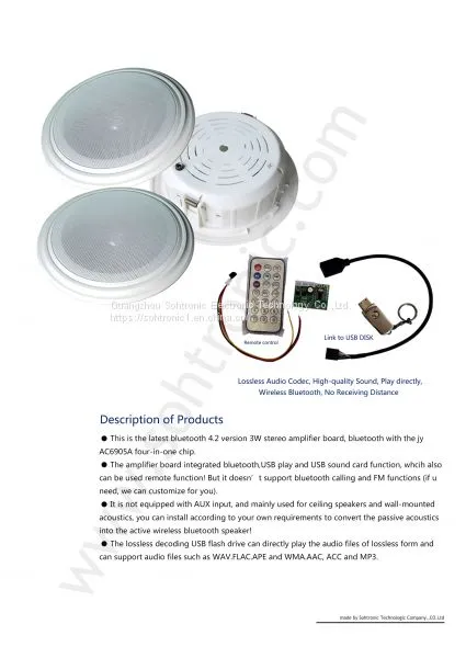 5V Power Mini Ceiling Speaker Wireless Bluetooth Amplifier photo-2