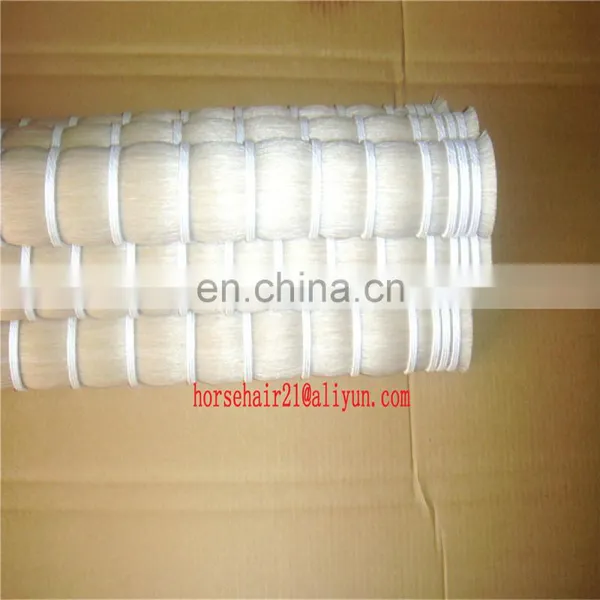 Blunt Cut Bottom Horsetail Hair ( Double Drawn Tail Hair ) Horse Tail Hairs for Sale photo-4