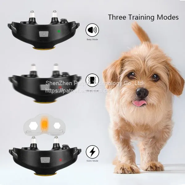 Amazon Hot Sell Stocked Collar Training Your Dog 310 photo-2
