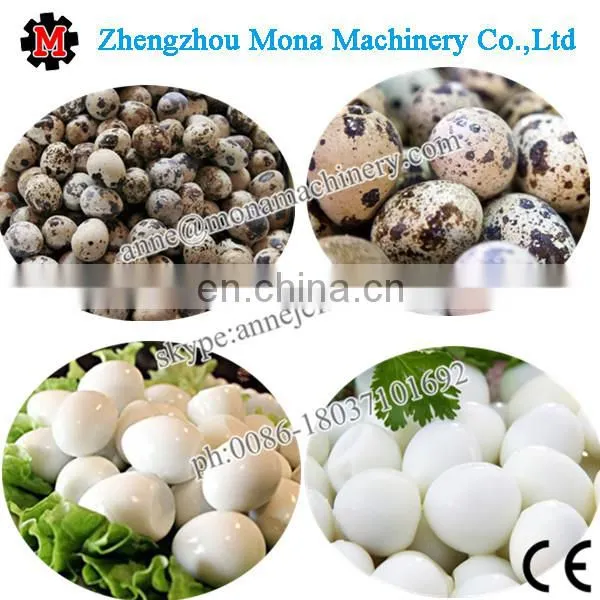 Boiled Quail Eggs Quail Egg Peeler photo-4