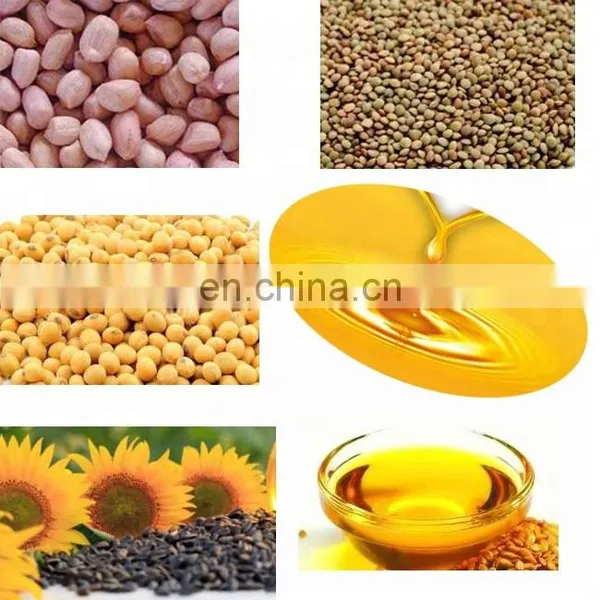 Small Black Cumin Oil Press Machine photo-4